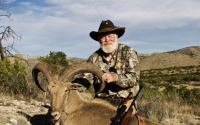 Aoudad West Of The Pecos