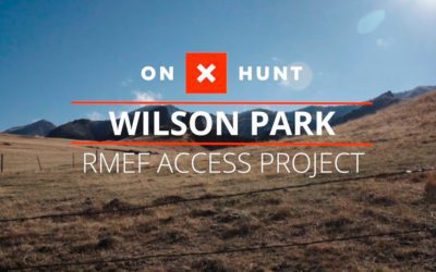 Wilson Park Public Access Project