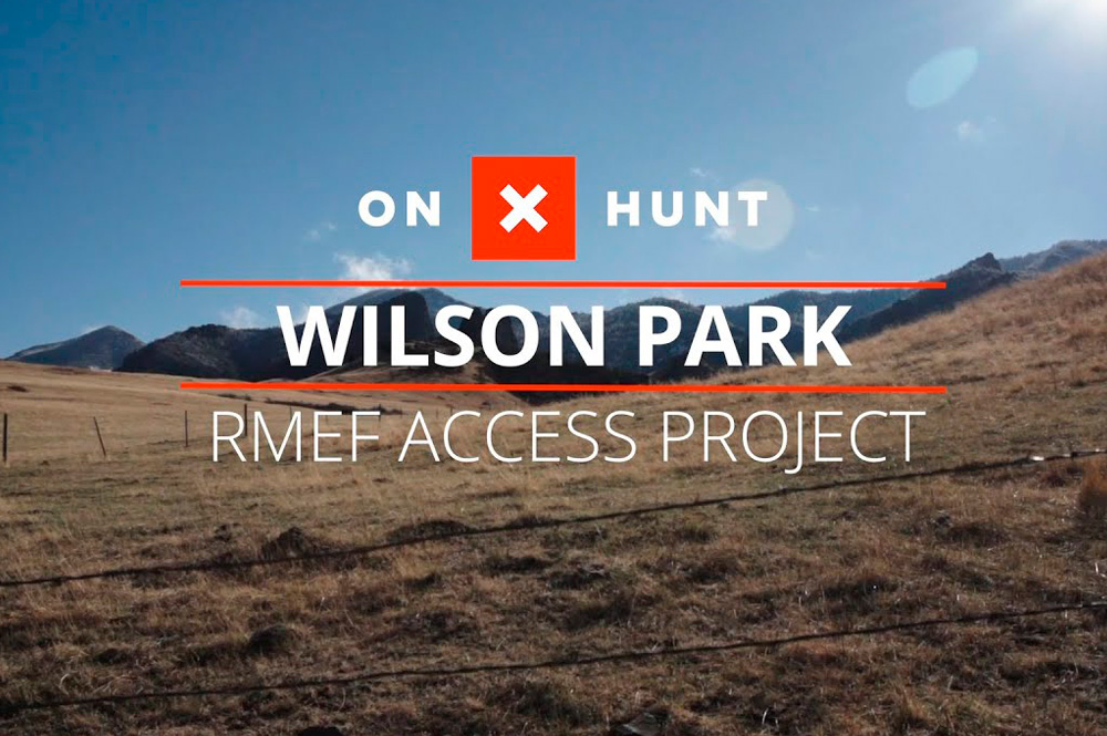 Wilson Park Public Access Project