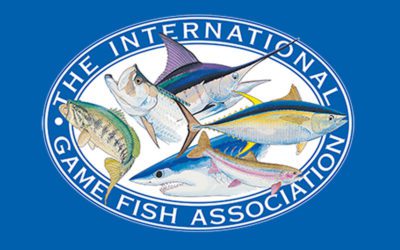 Blue Marlin Swims 5,089 Nautical Miles