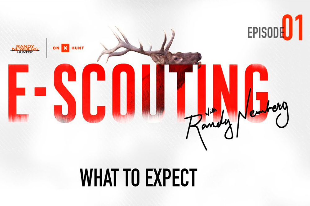 E-Scouting for Elk with Randy Newberg and onX