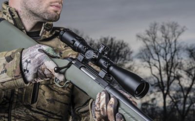 2018 Optics Review