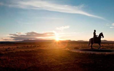 Upcoming Shooting Events at the NRA Whittington Center