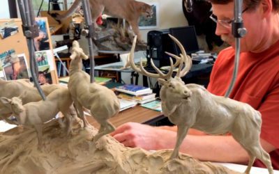 Tim Shinabarger’s One Man Show: Forever Wild