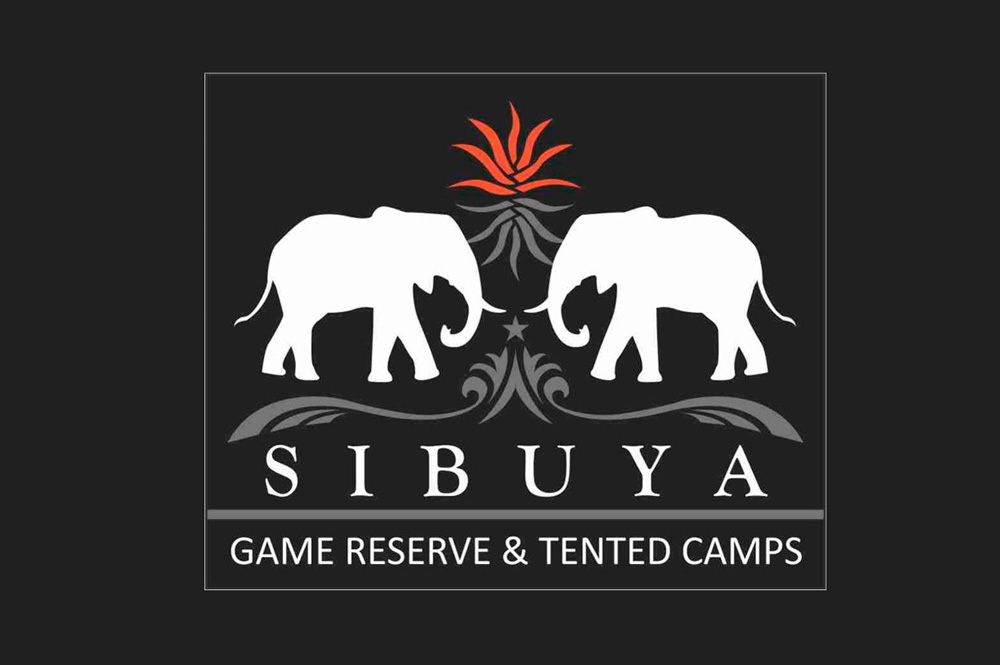 Lions Kill Suspected Poachers on Sibuya Game Reserve