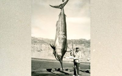 Women Have Best Shot at Next IGFA World Record.