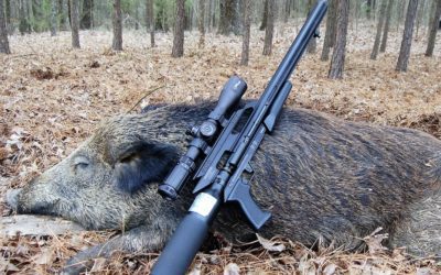 Texas Hog Hunting 101