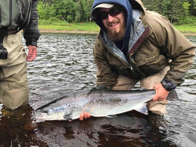Striped Bass Devastating Atlantic Salmon on Miramichi River, New
