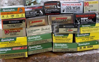 Magnums Suck For Practice and Training