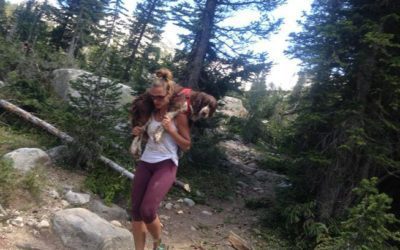 Hero Hiker Lugs a 55-lb Lost Dog Six Miles from Mountain