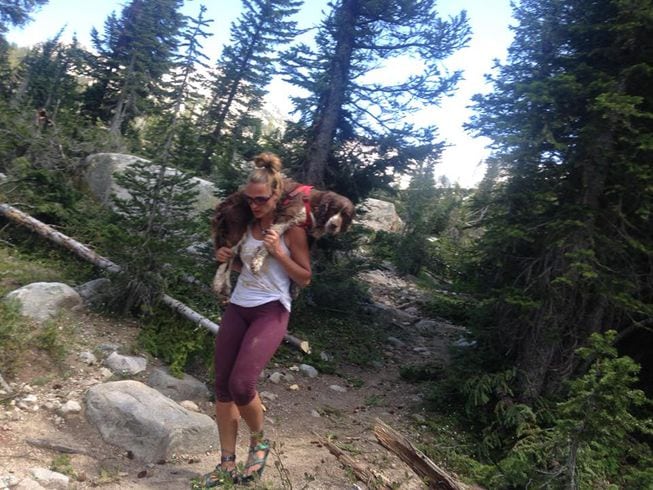 Hero Hiker Lugs a 55-lb Lost Dog Six Miles from Mountain