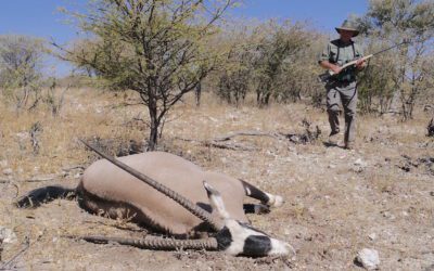 Essential Africa Safari Gear