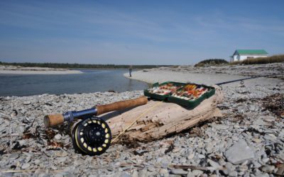 Anticosti Anticipation