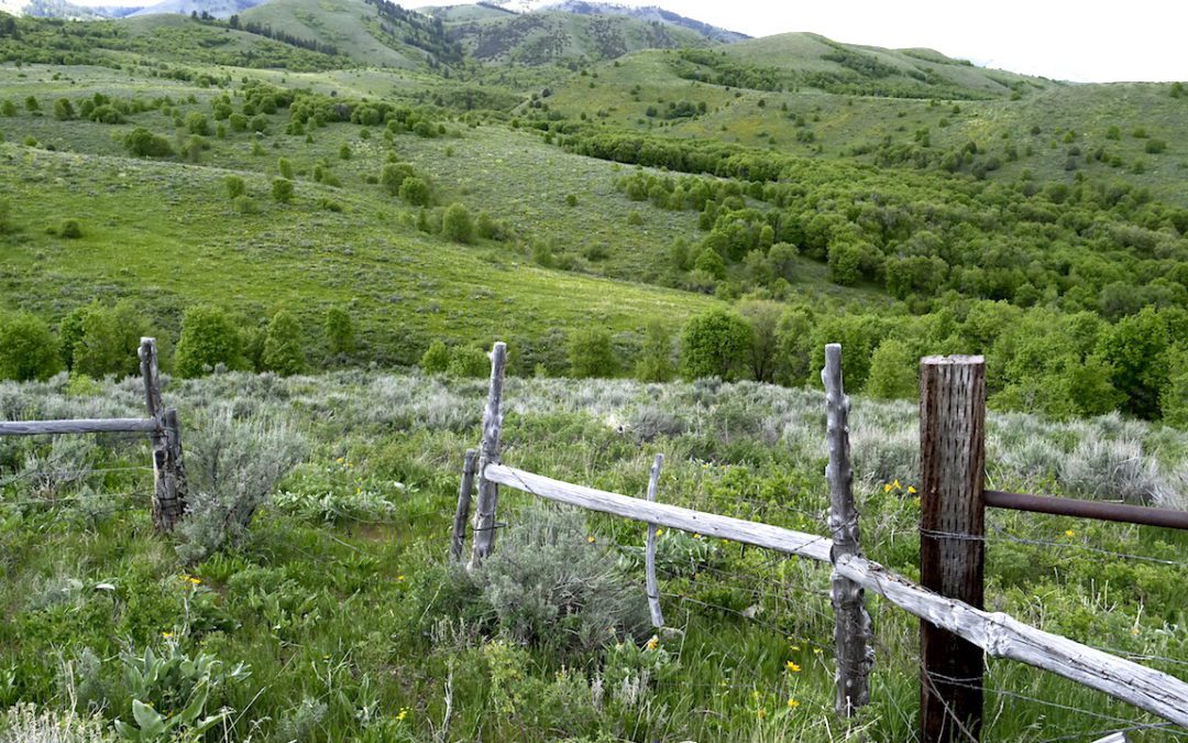 Off Grid Ranch Promises Wild Life