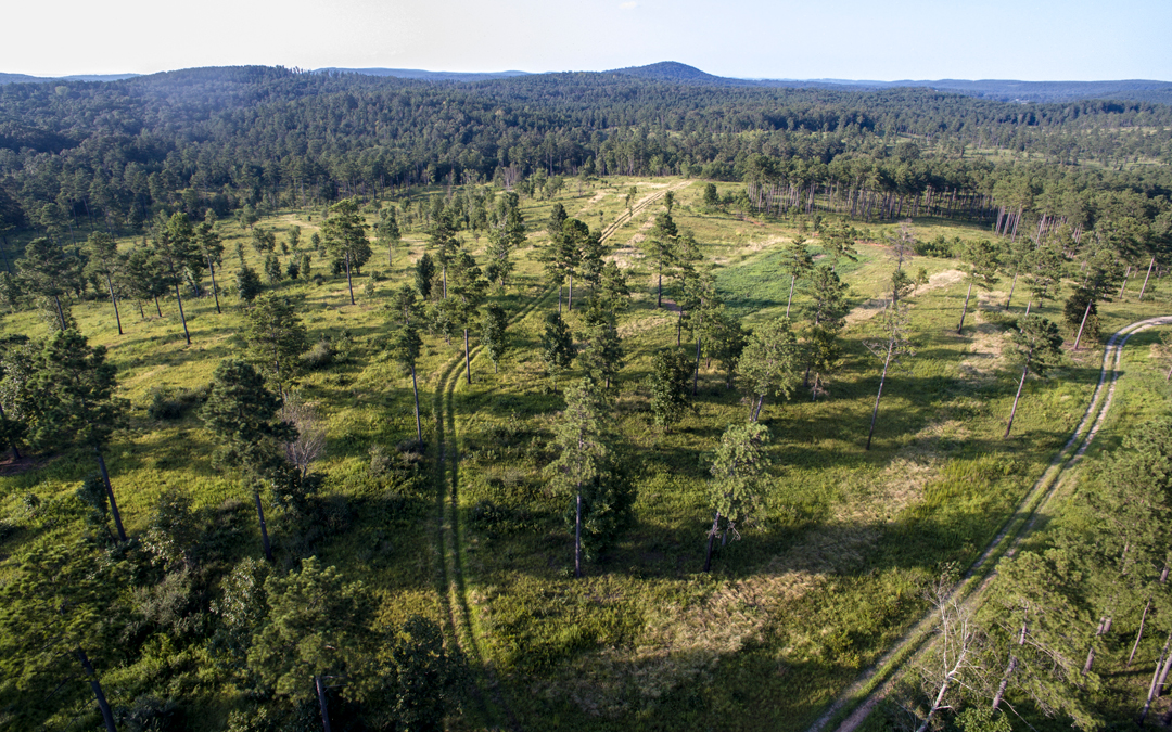 Barnsley Resort and High Adventure Company Create World-Class Shooting Grounds