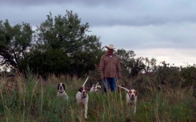 Enjoy A Few Minutes of Puppy Love