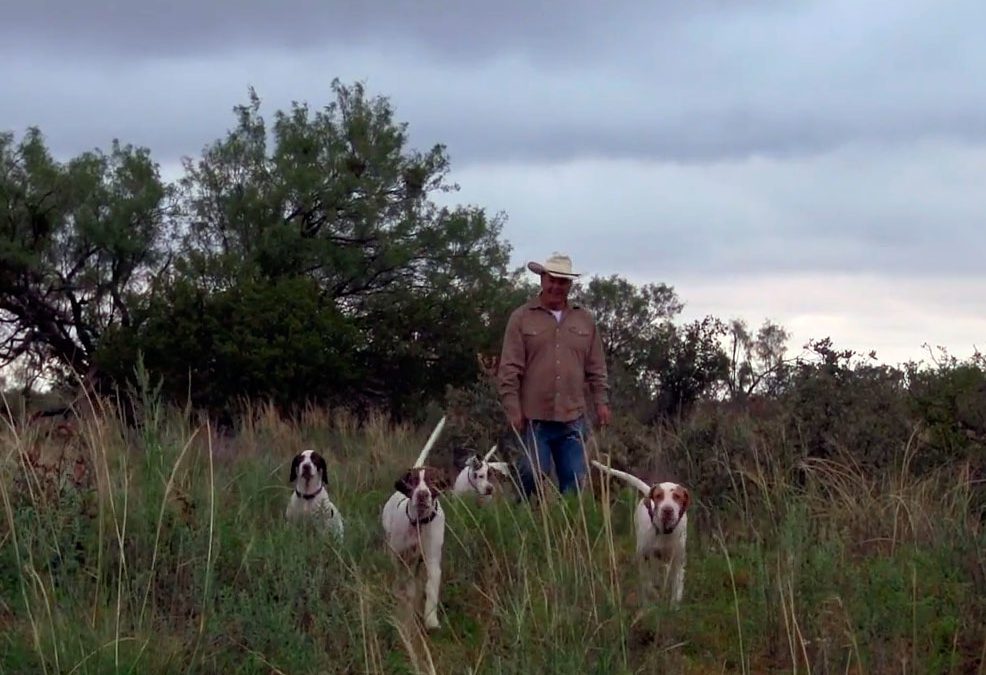 Enjoy A Few Minutes of Puppy Love