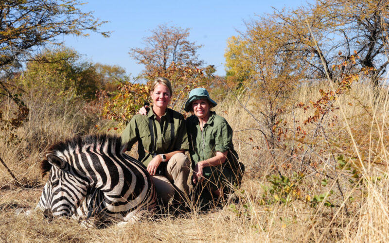 African safari hunting zebra and giant eland