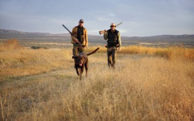 Pick A Side: Eco-Imperialism Or Wildlife Conservation