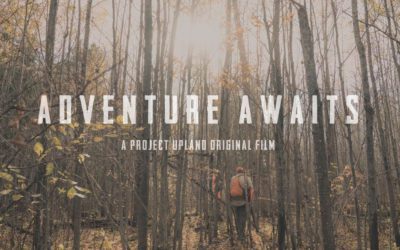 Enjoy A Few Relaxing Minutes in Grouse Country