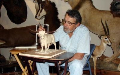 DSC Artist of the Year Raj Paul