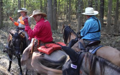 A Visit to Florence, Post-Florence