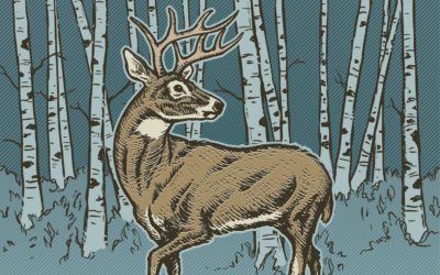 Excerpt from Blood Red Mackinaw by Ryan Stalvey