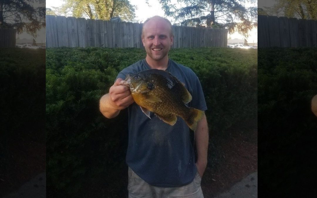 Michigan Hybrid Sunfish Record Broken