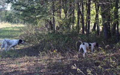 A Relaxing Weekend at River Bend