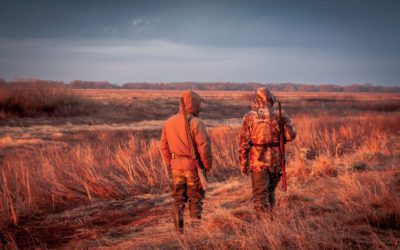 SCI Shows New Face To The World