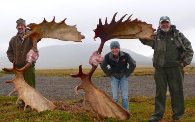 Alaska Hunt: 5 Essential Tips