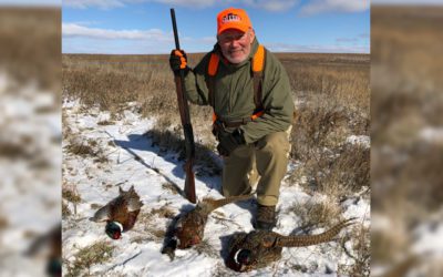 A Walk on the Wild Side