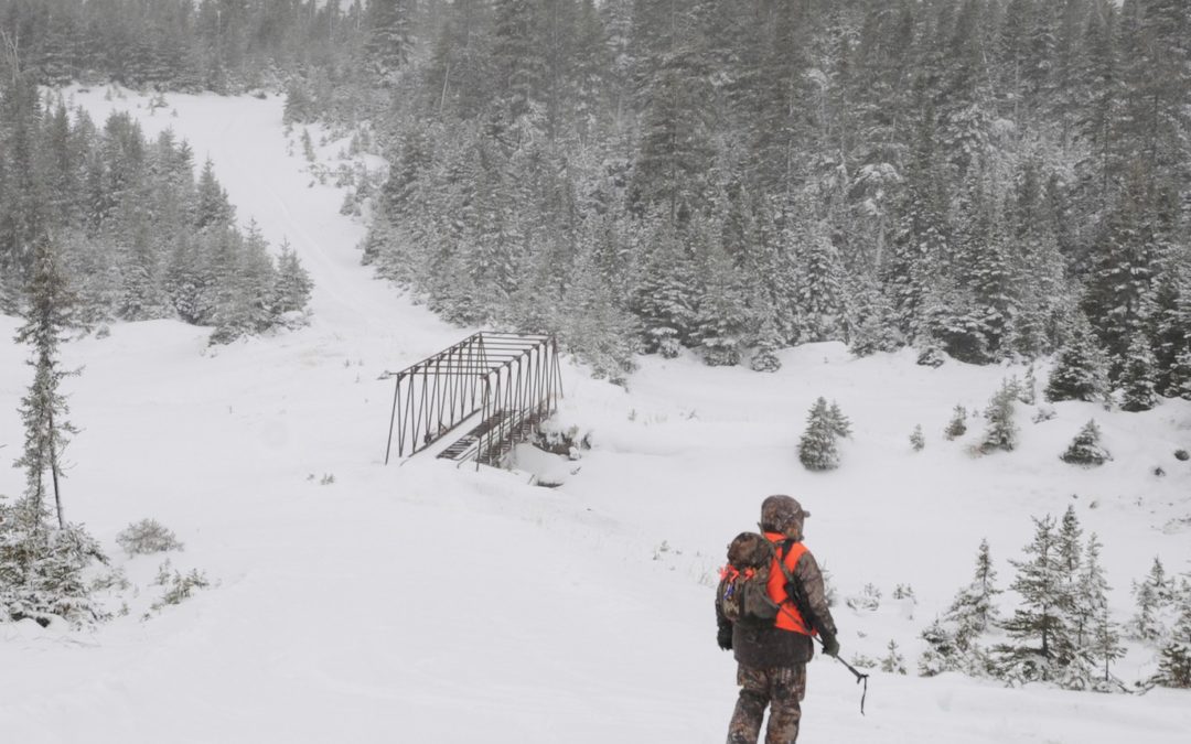 Ringing Anticosti’s Bell