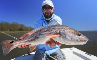 Modern Fish Act Headed to the White House