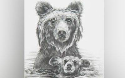31st Annual George Montgomery/NRA Youth Wildlife Art Contest Winners Announced