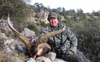 In Pursuit of the Beceite Ibex