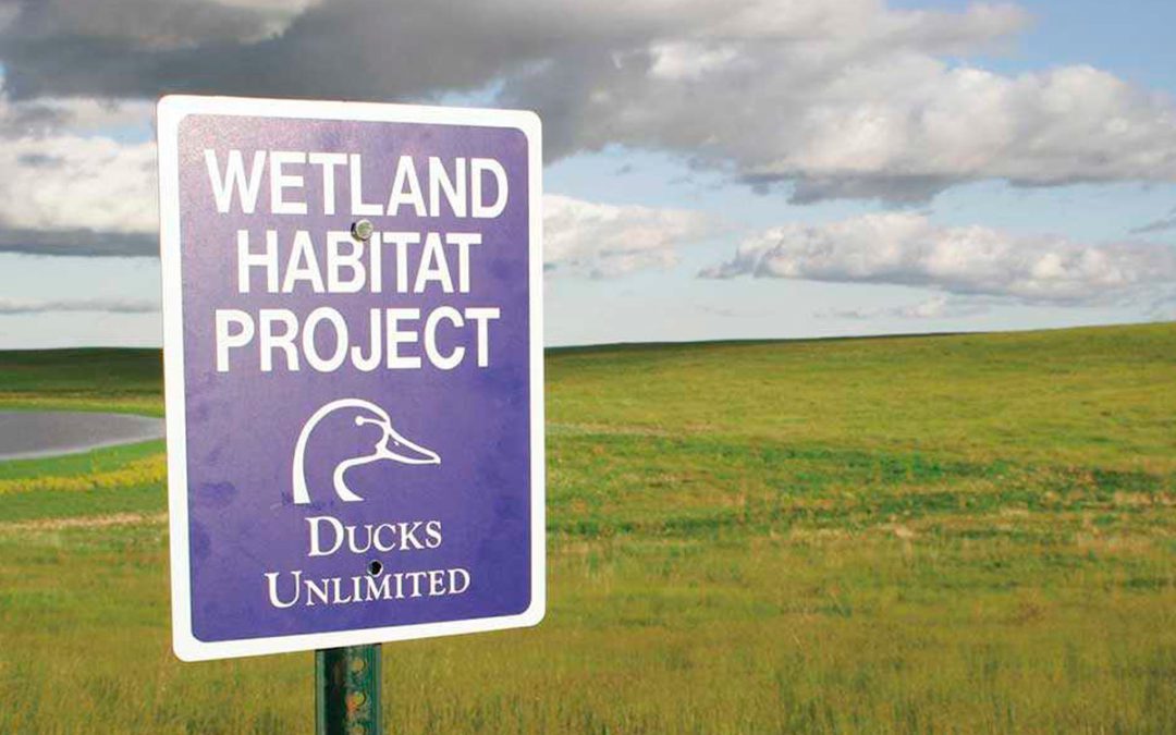 DU Recognizes 2019 World Wetlands Day