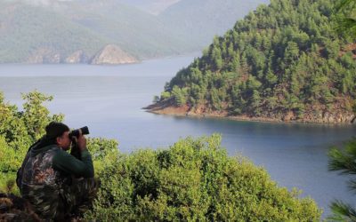 Hunting the Bezoar Ibex