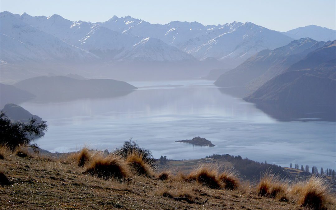 Tahr-iffic Spring Break New Zealand Hunt!