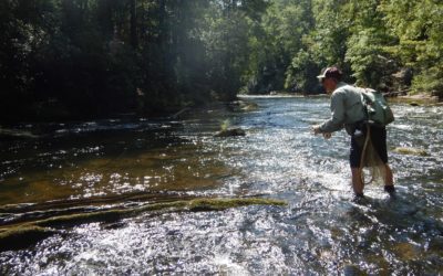 Things That Make You Say “Hmmm”