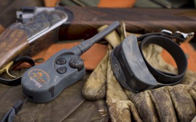 Introducing SportDOG Brand X-Series E-Collars