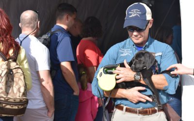 A Look Back at Essential SEWE