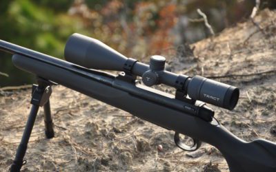 A Mauser for Mere Mortals?