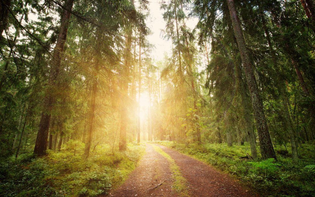 Sportsmen’s Bills Pass Senate