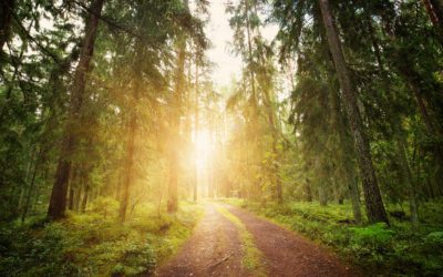 Sportsmen’s Bills Pass Senate