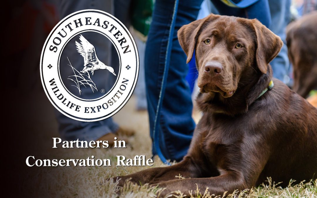 SEWE Partners in Conservation Raffle