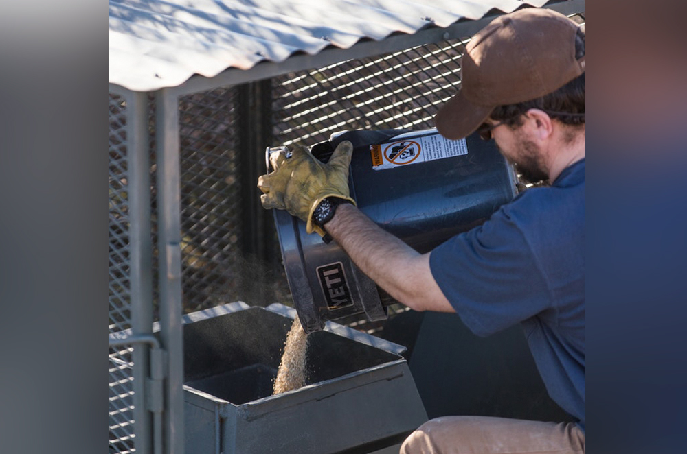 Medicated Feed May Stem Quail Decline