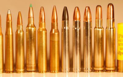 Magnum Cartridge Magnum Bullet? Go Ahead Punk