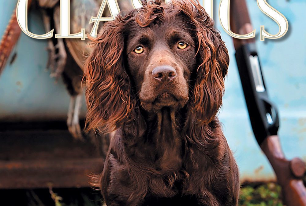 Announcing Our 2019 May June Issue