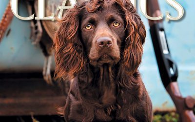 Announcing Our 2019 May June Issue